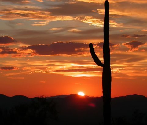 Arizona